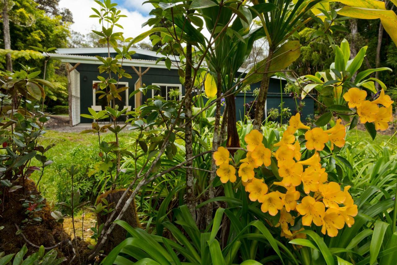 فولكانو Hale 'Ohu Bed & Breakfast المظهر الخارجي الصورة